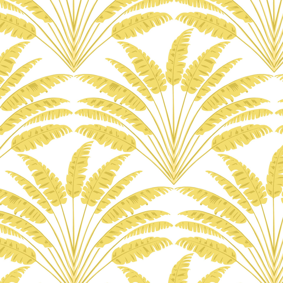Mustard Freja