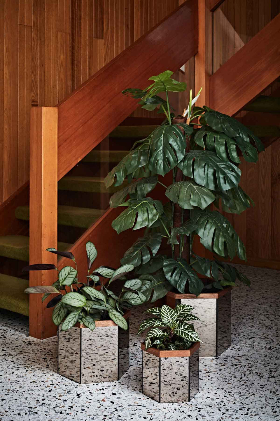 Raven Planter